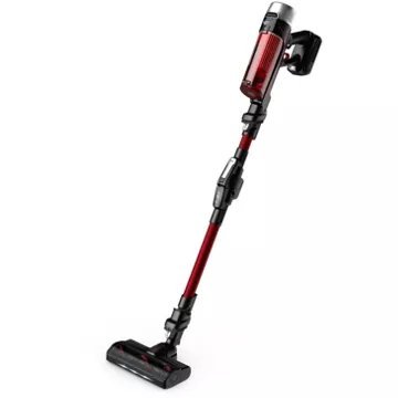 Aspirateur balai							ROWENTA				X-Force Flex 9.60 Kit Animal RH2079WO